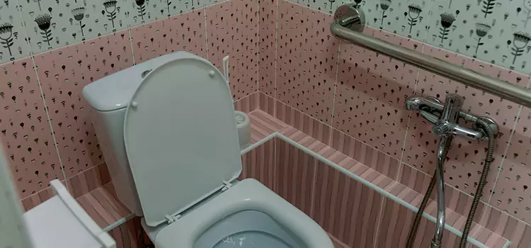 Meeting Diverse Needs With Accessible Restroom Solutions in Marumsco, VA